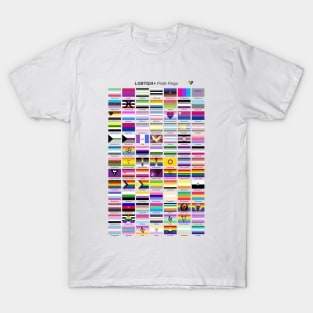 LGBTQIA+ Pride flags T-Shirt